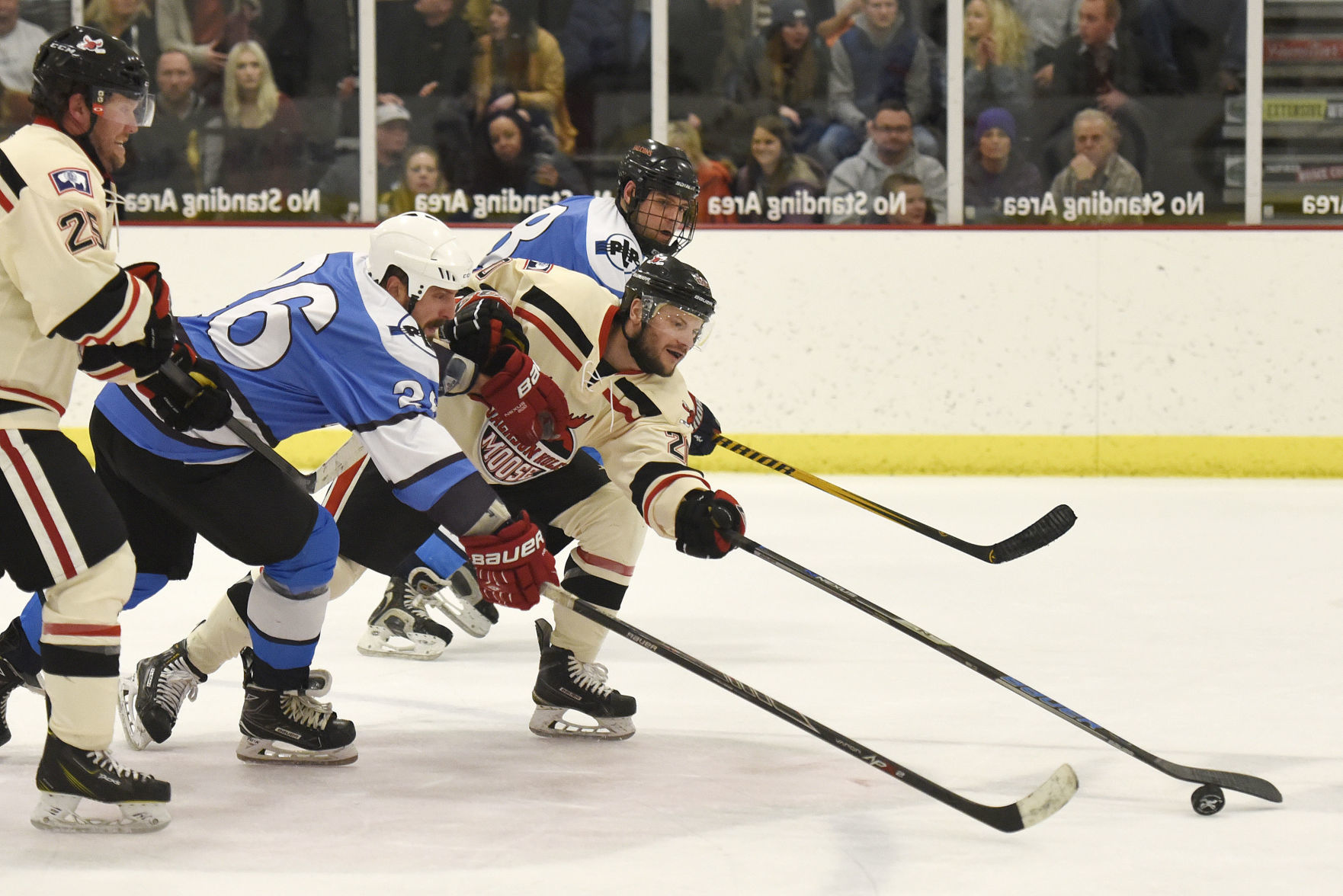 Jackson Hole Moose hockey